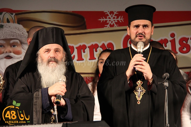 tree xrismass (47).JPG